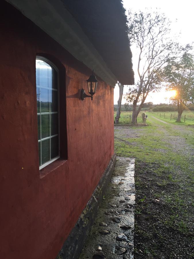 Alsbrogaard Bed & Breakfast Bramming Exterior foto