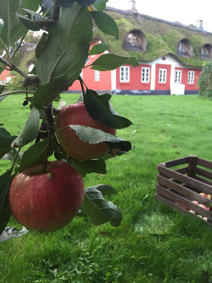 Alsbrogaard Bed & Breakfast Bramming Exterior foto