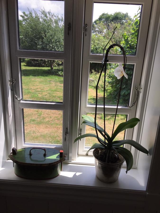 Alsbrogaard Bed & Breakfast Bramming Exterior foto